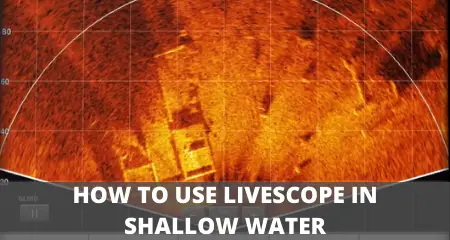 Photo of shallow water livescope image