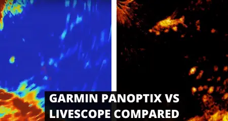 KEY DIFFERENCES: Garmin Livescope vs Panoptix SIDE BY SIDE Comparison 