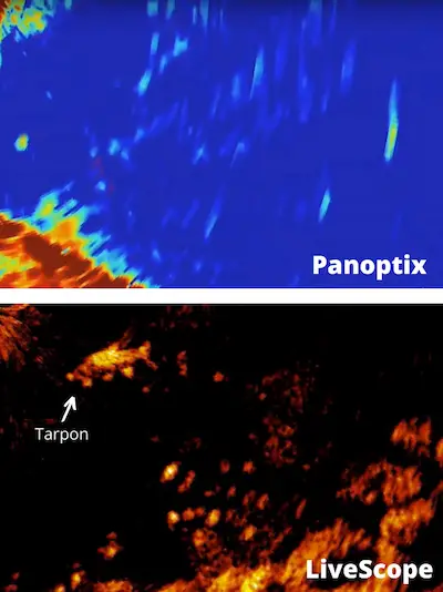 Photo comparing images produces by Garmin panoptix vs livescope side by side