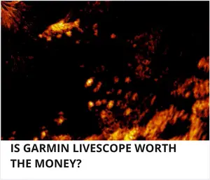 Is garmin livescope worth it