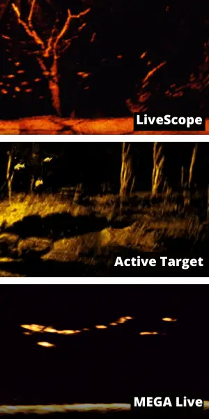 Photo comparing image quality of LiveScope vs Active Target vs MEGA Live next to each other