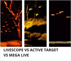 Livescope vs active target vs mega live