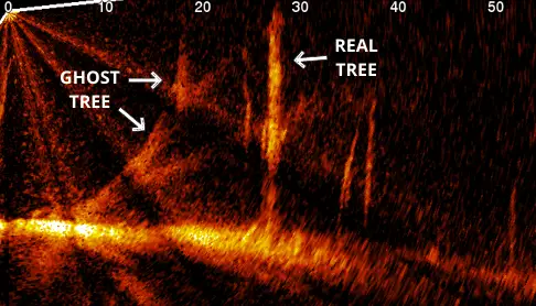 Photo of Garmin LiveScope ghost tree