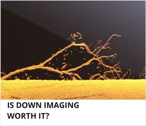 Is down imaging worth it