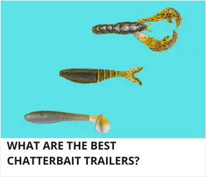 Best chatterbait trailers