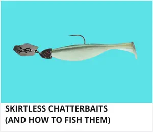 Chatterbaits without skirts