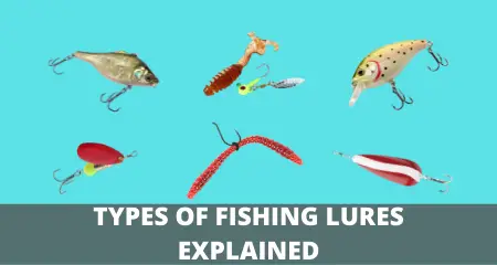 Image showing types of fishing lures