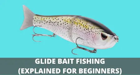 Image of a glide bait lure