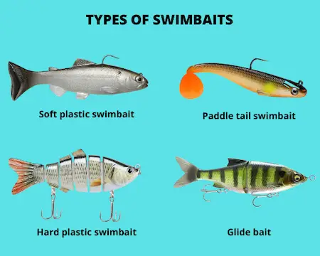 Image showing types of swimbaits