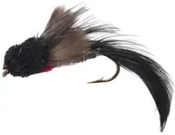 Photo of Fly Lure