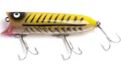 Photo of Topwater popper