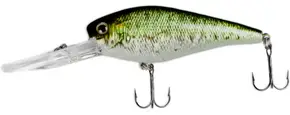 Photo of deep diving crankbait