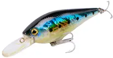 Photo of medium diving crankbait