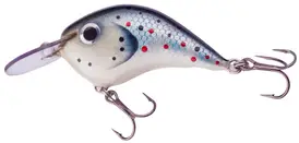 Photo of round bill crankbait