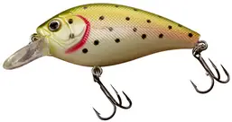 Photo of shallow diving crankbait