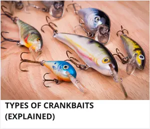 Types of crankbaits