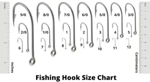 Fishing Hook Sizes Explained (With Detailed Chart)