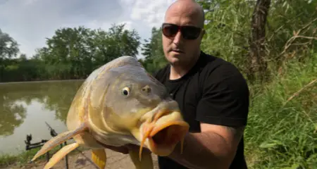 Photo of angler holding a carp