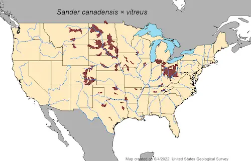 Saugeye distribution map