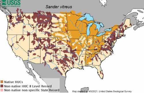 Walleye distribution map