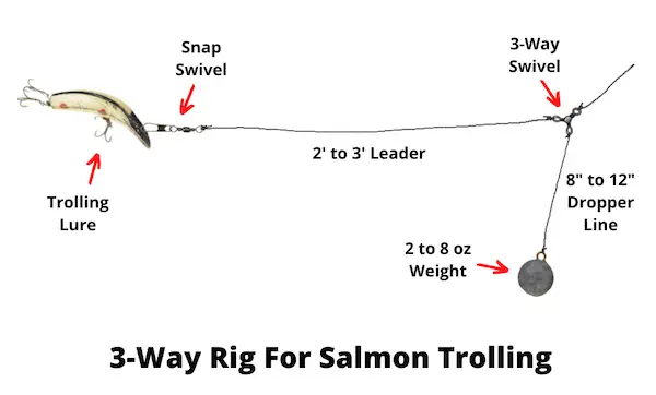 3-way rig for salmon