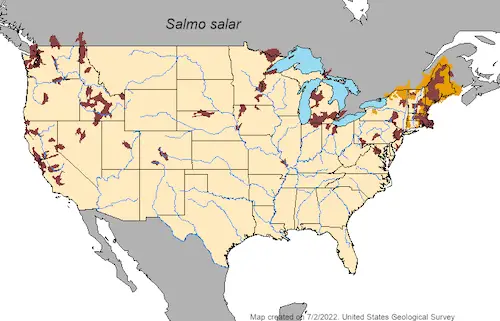 Atlantic salmon distribution map
