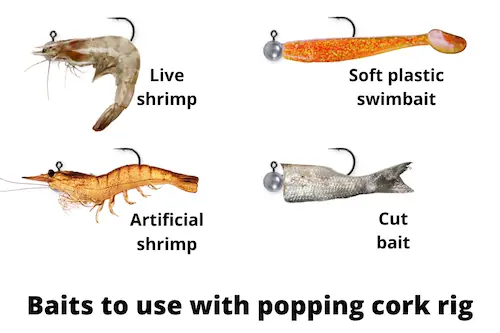 Diagram of baits to use with popping cork rig