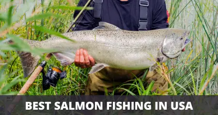 Best salmon fishing in US
