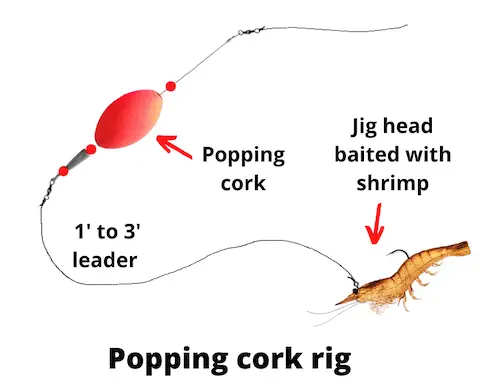 Diagram of popping cork rig