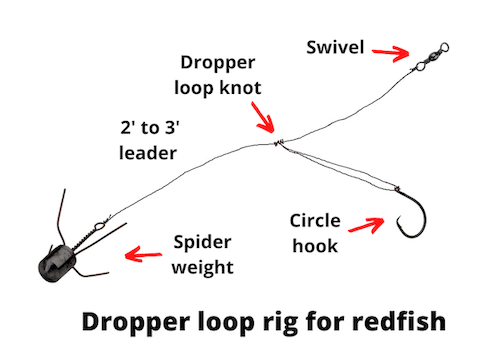 Dropper loop rig