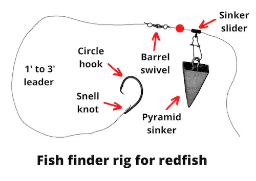 Fish finder rig