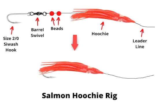 Salmon hoochie rig