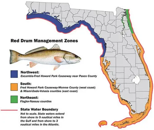 Image showing Florida redfish management zones