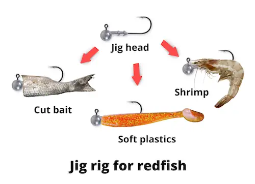 Jig rig for redfish