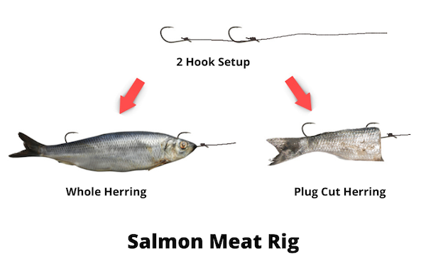 Salmon meat rig