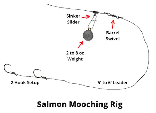 Salmon mooching rig
