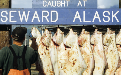 Seward AK Fishing