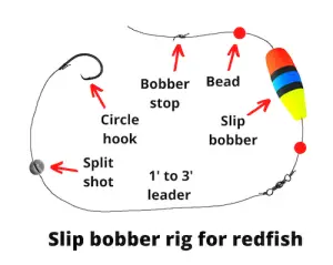 Rigging For Redfish (9 Rigs You Need To Know)