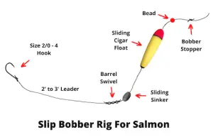 9 Top Salmon Rigs You Need To Know (Detailed Rigging Guide)