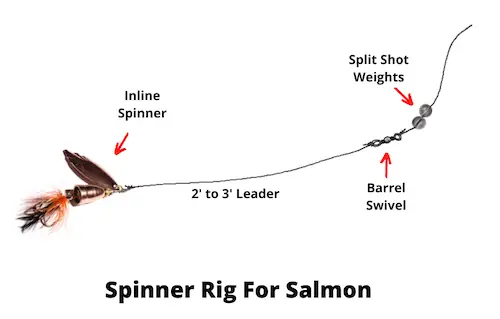 Spinner rig for salmon