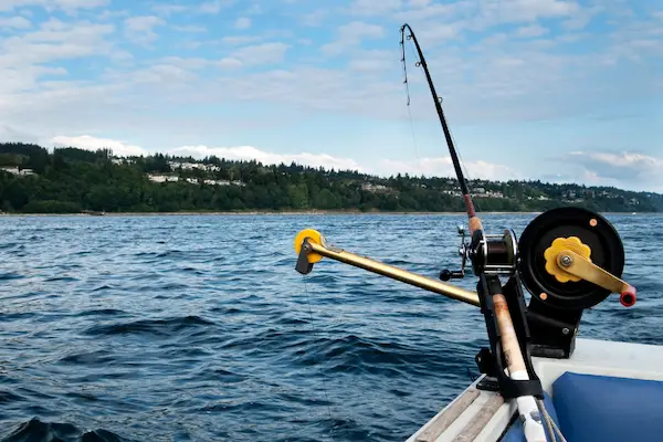 Trolling for pink salmon in Puget Sound