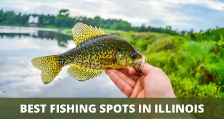 Best fishing spots in Illinois