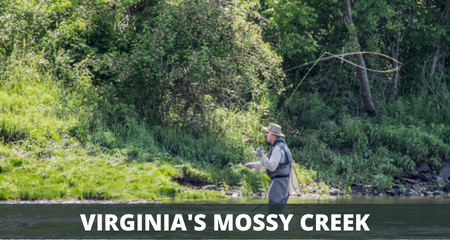 Mossy creek in virginia
