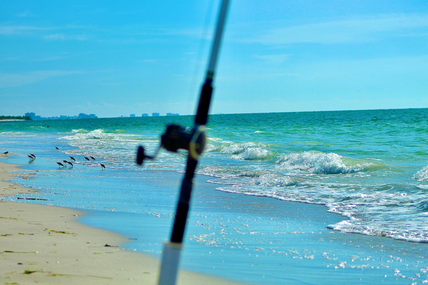 Photo of fishing rod and reel at the beach