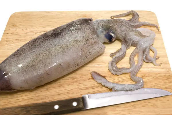 Photo of fresh squid on cutting board