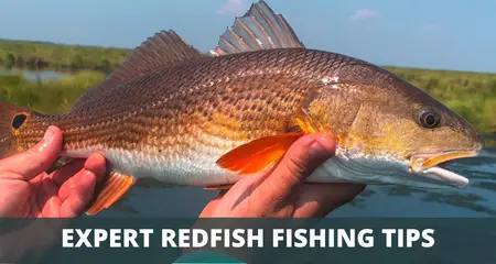 Redfish fishing tips