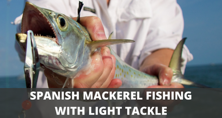 Spanish mackerel fishing with light tackle