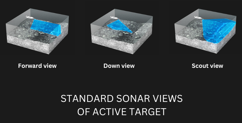 Image showing standard sonar views of Lowrance Active Target