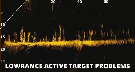 Lowrance Active Target problems
