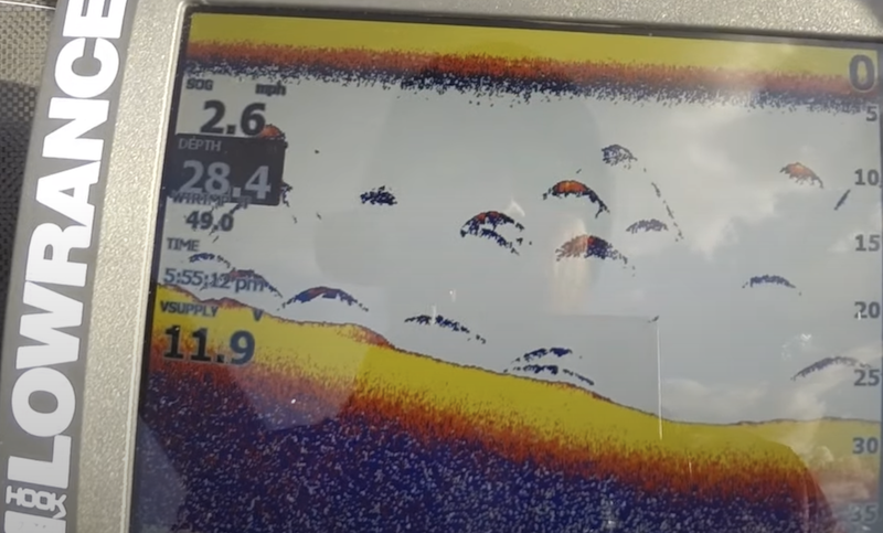 Photo of the display of Lowrance Hook 2 portable fish finder showing fish arches
